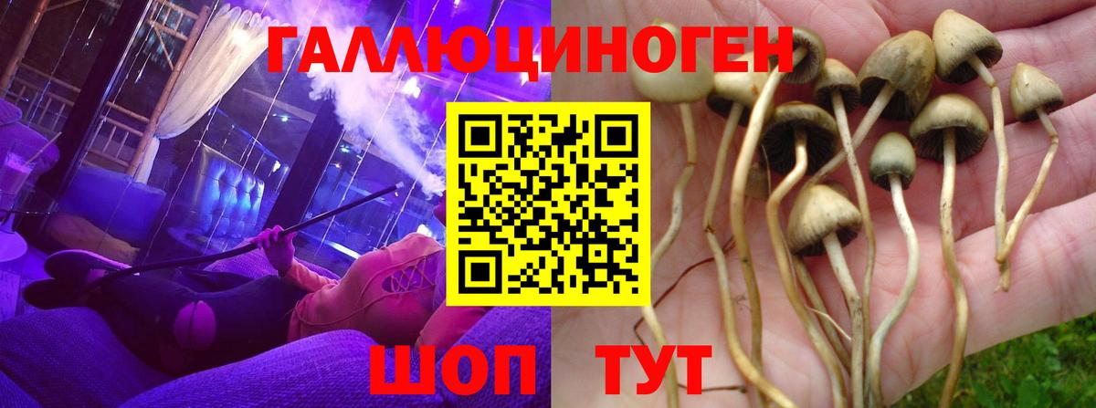 Псилоцибиновые грибы Magic Shrooms  Вход с VPN  магазин продажи наркотиков  Заволжье 